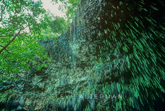 323 Fern Grotto, East Side, Kauai