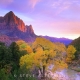 520 The Watchman in Autumn, Zion National Park