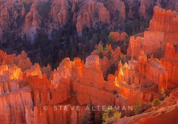 525 First Light at Inspiration Point, Bryce Canyon National Park