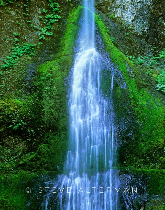 709 Marymere Falls, Olympic National Park